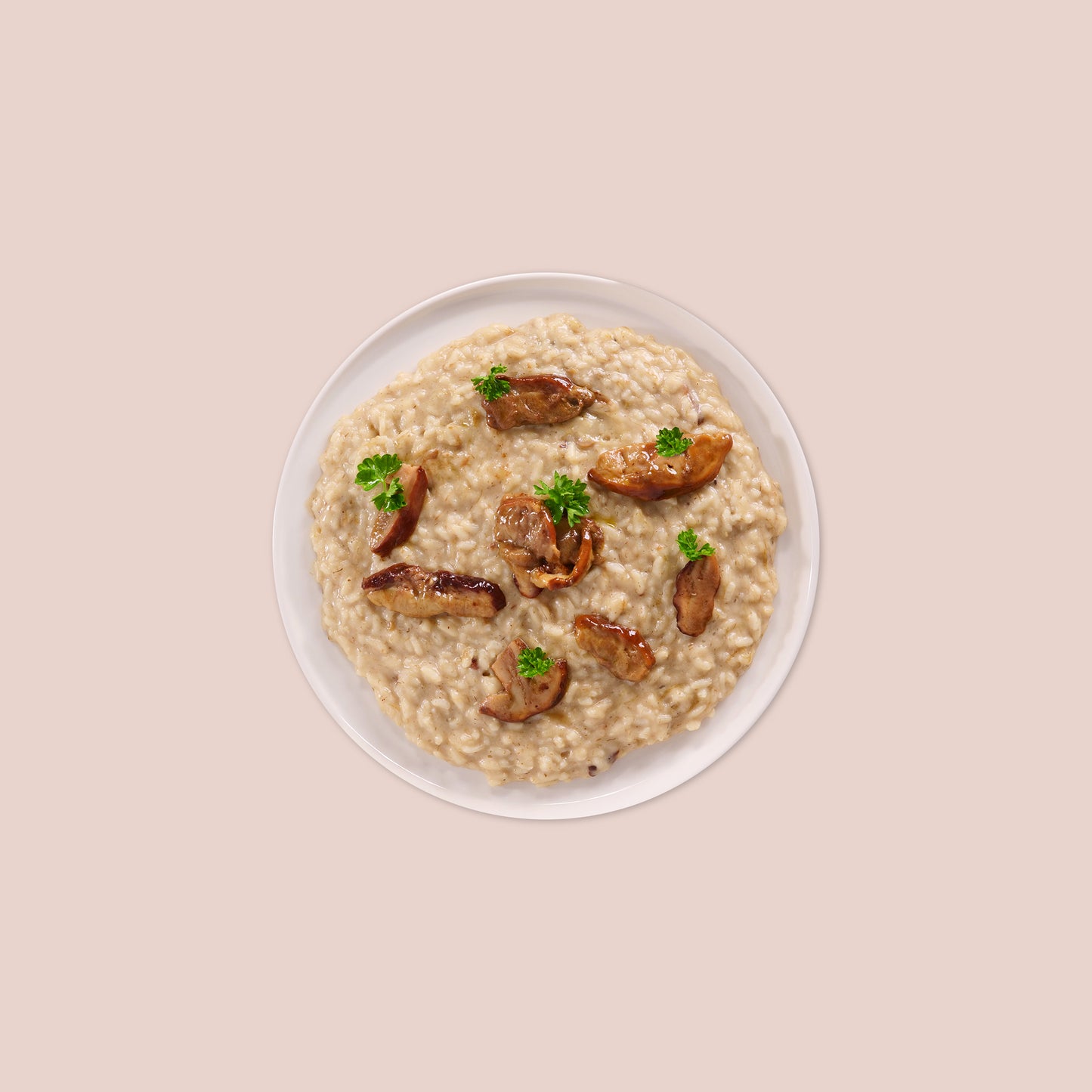 RISOTTO WITH PORCINI MUSHROOMS